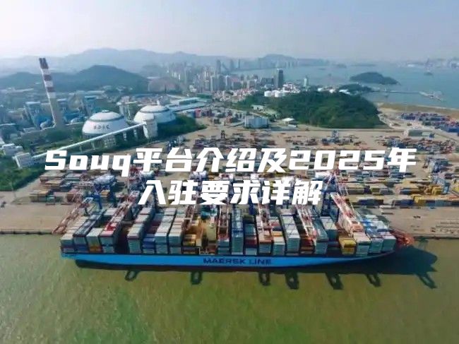 Souq平台介绍及2025年入驻要求详解