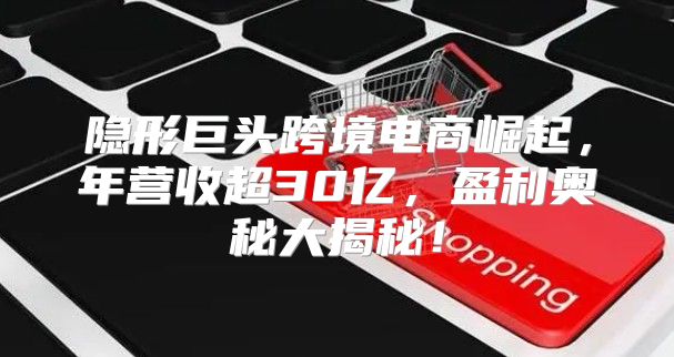 隐形巨头跨境电商崛起，年营收超30亿，盈利奥秘大揭秘！
