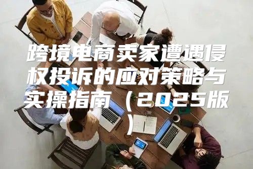 跨境电商卖家遭遇侵权投诉的应对策略与实操指南2025版
