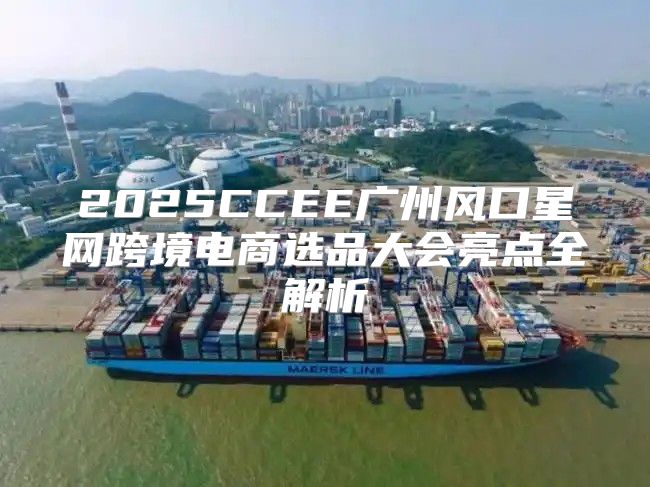 2025CCEE广州风口星网跨境电商选品大会亮点全解析