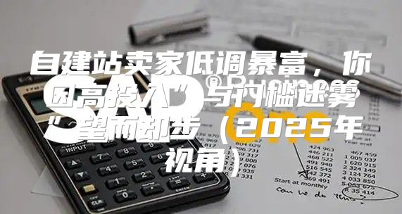 自建站卖家低调暴富，你因高投入”与门槛迷雾”望而却步2025年视角