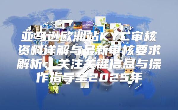 亚马逊欧洲站KYC审核资料详解与最新审核要求解析：关注关键信息与操作指导至2025年