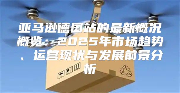 亚马逊德国站的最新概况概览：2025年市场趋势、运营现状与发展前景分析