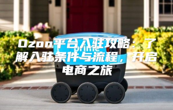Ozon平台入驻攻略：了解入驻条件与流程，开启电商之旅