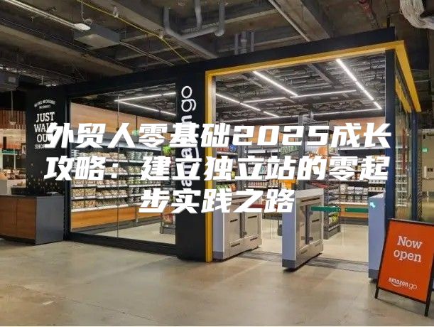 外贸人零基础2025成长攻略：建立独立站的零起步实践之路