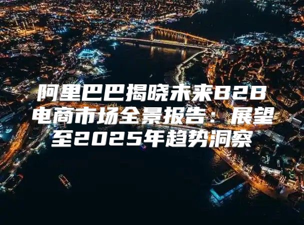阿里巴巴揭晓未来B2B电商市场全景报告：展望至2025年趋势洞察