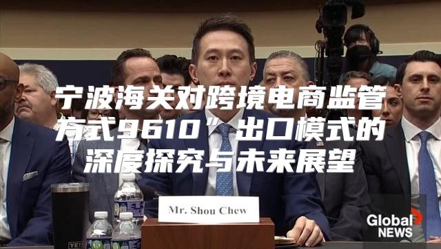 宁波海关对跨境电商监管方式9610”出口模式的深度探究与未来展望