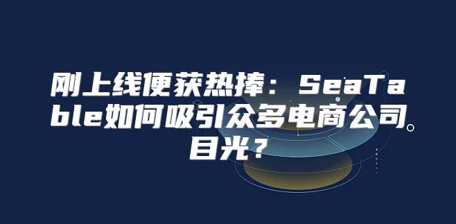 刚上线便获热捧：SeaTable如何吸引众多电商公司目光？