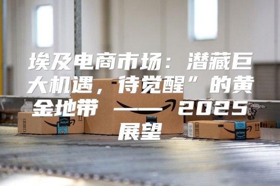 埃及电商市场：潜藏巨大机遇，待觉醒”的黄金地带 —— 2025展望