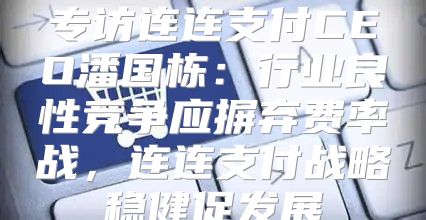 专访连连支付CEO潘国栋：行业良性竞争应摒弃费率战，连连支付战略稳健促发展