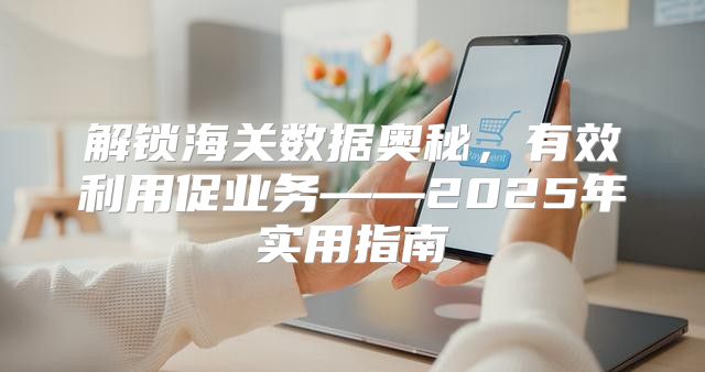 解锁海关数据奥秘，有效利用促业务——2025年实用指南
