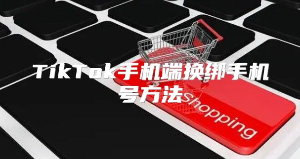 TikTok手机端换绑手机号方法