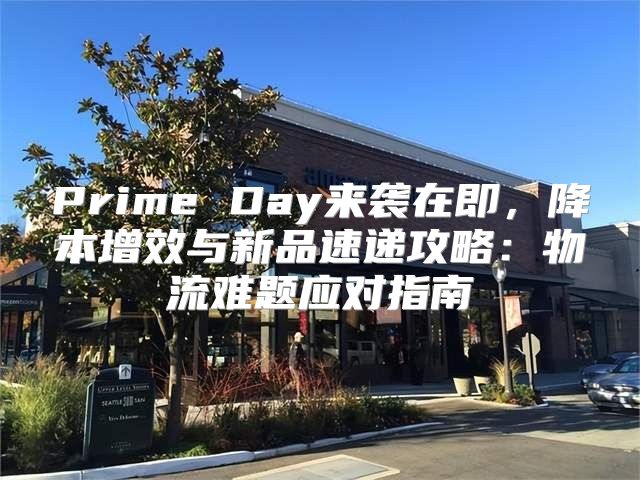Prime Day来袭在即，降本增效与新品速递攻略：物流难题应对指南