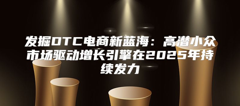 发掘DTC电商新蓝海：高潜小众市场驱动增长引擎在2025年持续发力