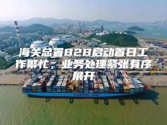 海关总署B2B启动首日工作繁忙，业务处理紧张有序展开
