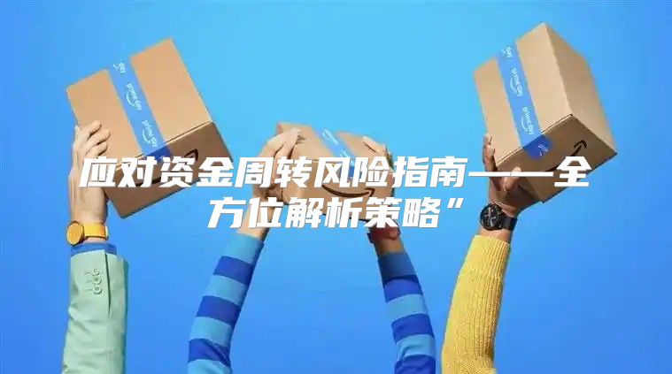 应对资金周转风险指南——全方位解析策略”