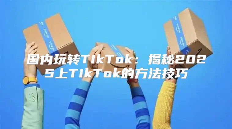 国内玩转TikTok：揭秘2025上TikTok的方法技巧