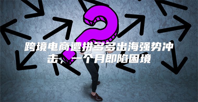 跨境电商遭拼多多出海强势冲击，一个月即陷困境