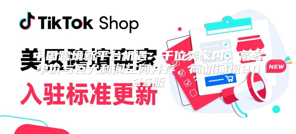 中国跨境新平台机遇：千位卖家内，高客单价与巨大利润空间并存，商机涌现2025版