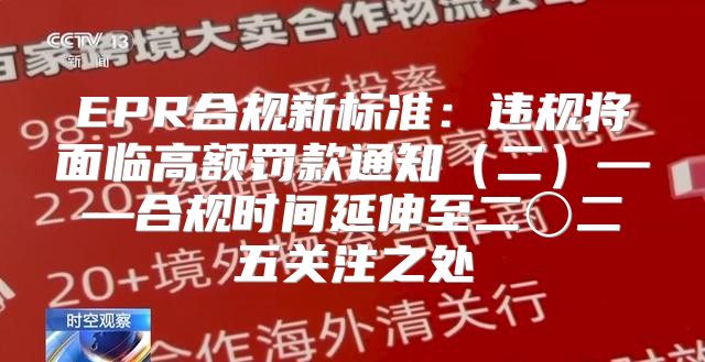 EPR合规新标准：违规将面临高额罚款通知二——合规时间延伸至二〇二五关注之处