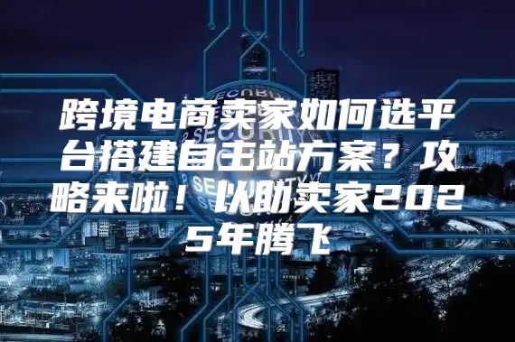 跨境电商卖家如何选平台搭建自主站方案？攻略来啦！以助卖家2025年腾飞