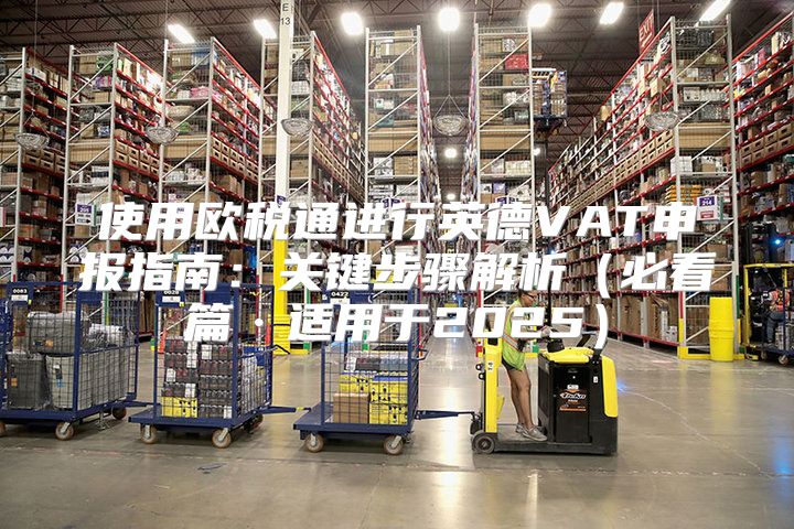 使用欧税通进行英德VAT申报指南：关键步骤解析必看篇·适用于2025