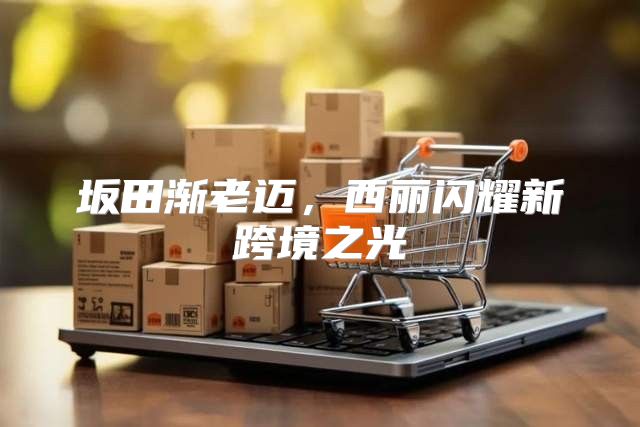 坂田渐老迈，西丽闪耀新跨境之光