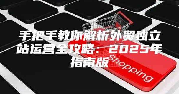 手把手教你解析外贸独立站运营全攻略：2025年指南版