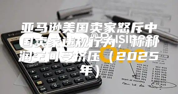 亚马逊美国卖家怒斥中国卖家违规行为，称利润空间受挤压2025年
