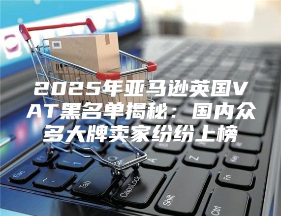 2025年亚马逊英国VAT黑名单揭秘：国内众多大牌卖家纷纷上榜