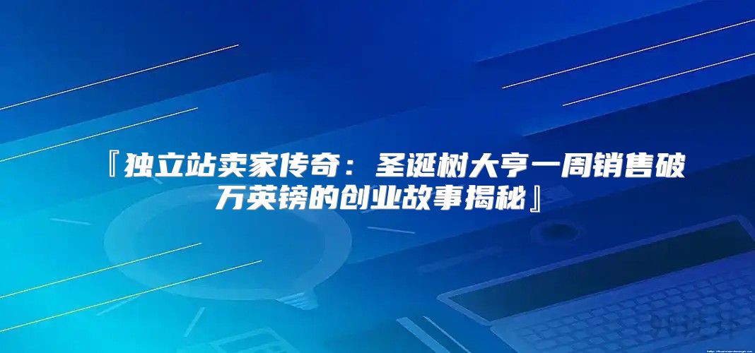 『独立站卖家传奇：圣诞树大亨一周销售破万英镑的创业故事揭秘』