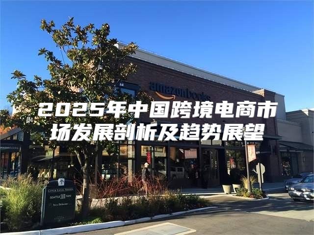 2025年中国跨境电商市场发展剖析及趋势展望