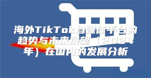 海外TikTok自媒体平台的趋势与未来展望2025年在国内的发展分析