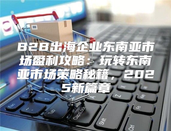 B2B出海企业东南亚市场盈利攻略：玩转东南亚市场策略秘籍，2025新篇章