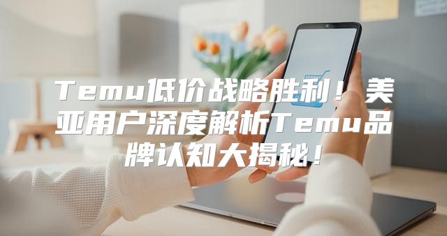 Temu低价战略胜利！美亚用户深度解析Temu品牌认知大揭秘！