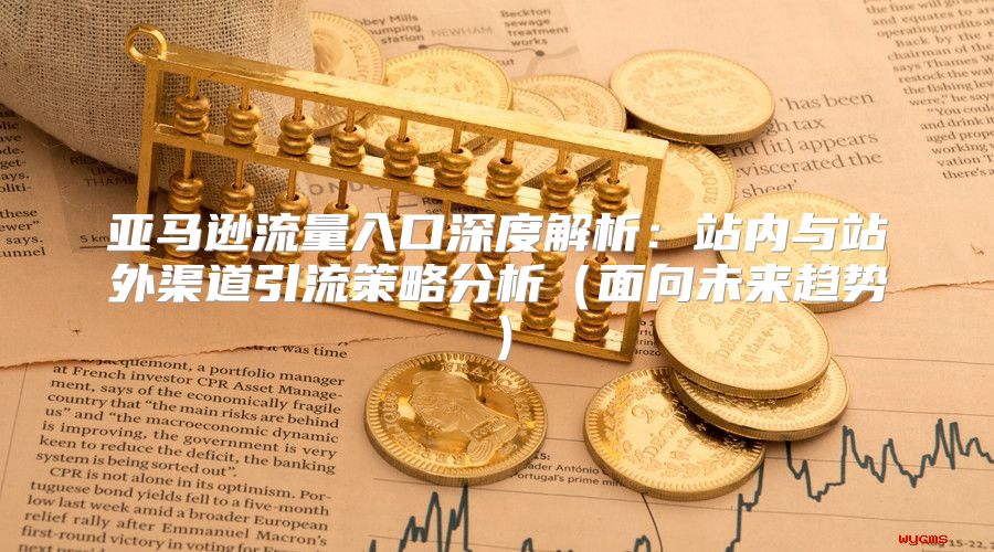 亚马逊流量入口深度解析：站内与站外渠道引流策略分析面向未来趋势