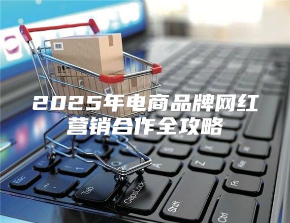 2025年电商品牌网红营销合作全攻略