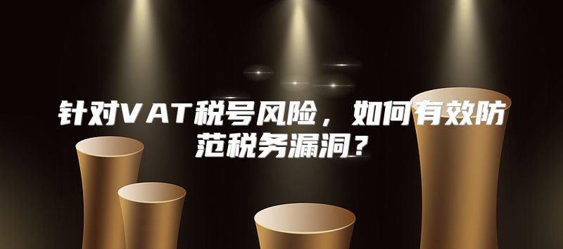 针对VAT税号风险，如何有效防范税务漏洞？