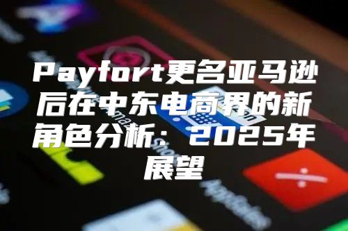 Payfort更名亚马逊后在中东电商界的新角色分析：2025年展望
