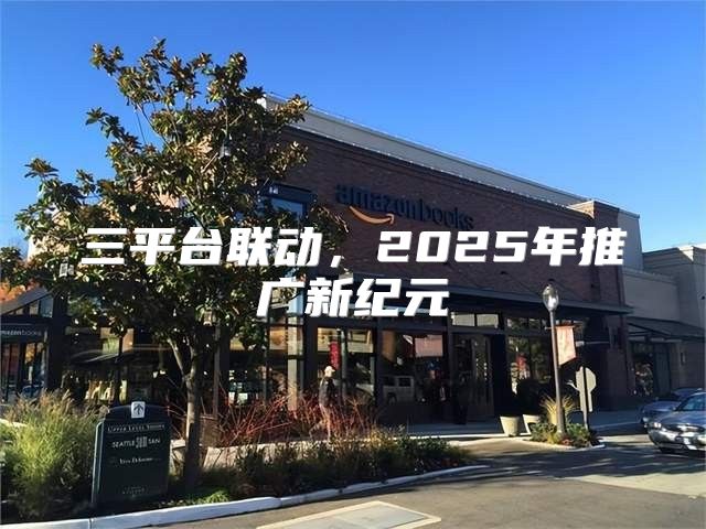 三平台联动，2025年推广新纪元