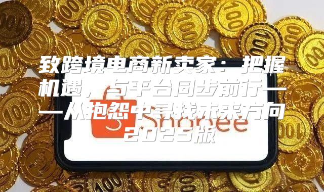 致跨境电商新卖家：把握机遇，与平台同步前行——从抱怨中寻找未来方向 2025版