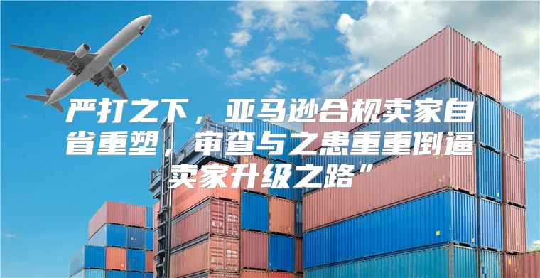 严打之下，亚马逊合规卖家自省重塑，审查与之患重重倒逼卖家升级之路”