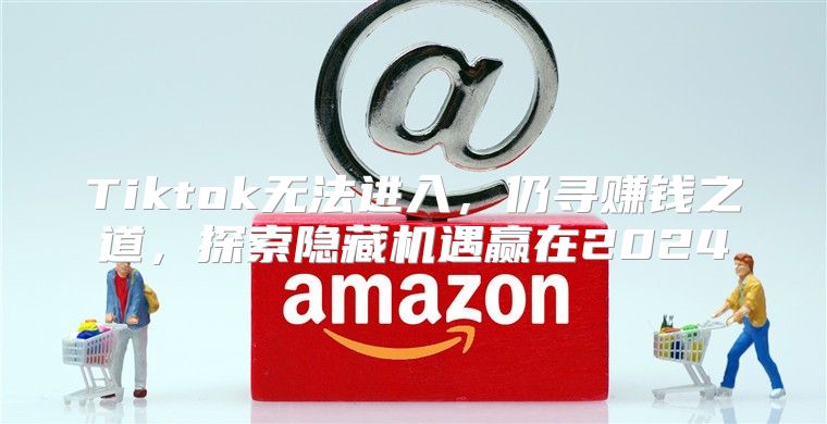 Tiktok无法进入，仍寻赚钱之道，探索隐藏机遇赢在2025
