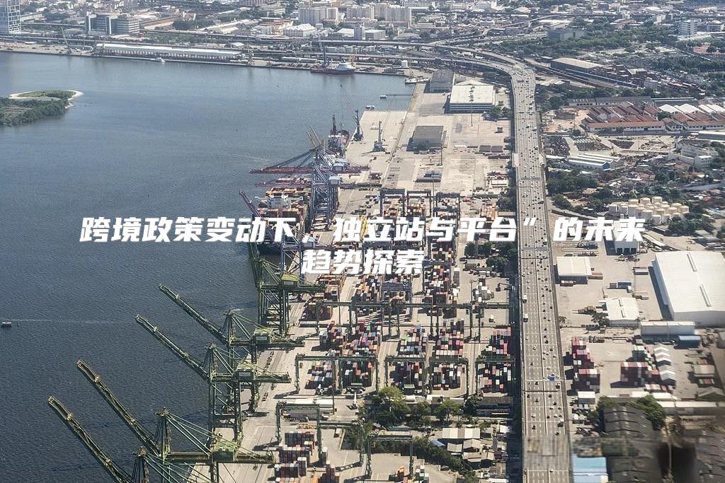 跨境政策变动下，独立站与平台”的未来趋势探索
