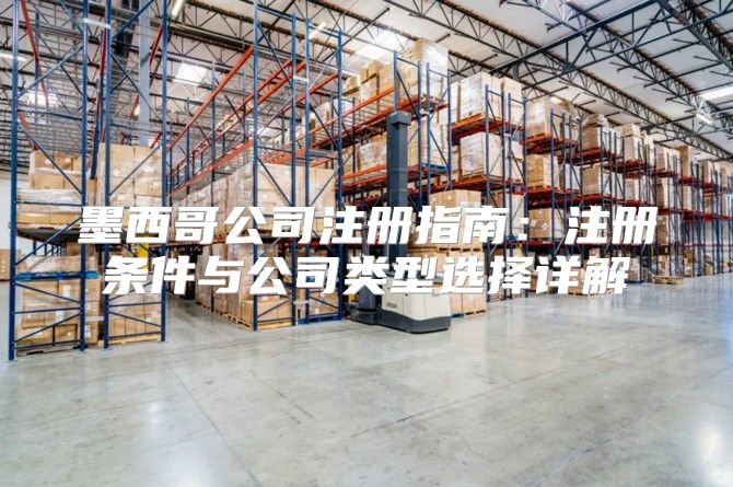 墨西哥公司注册指南：注册条件与公司类型选择详解