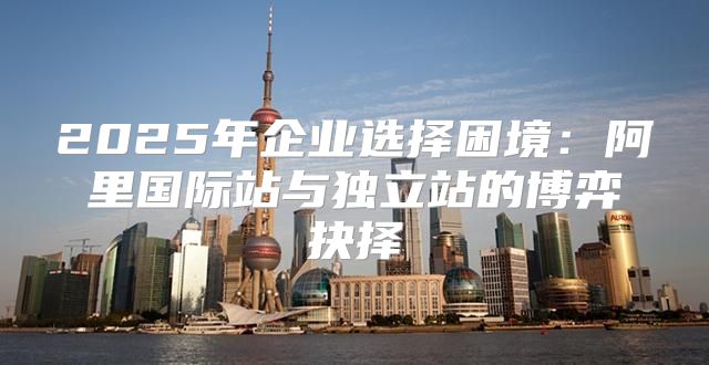 2025年企业选择困境：阿里国际站与独立站的博弈抉择