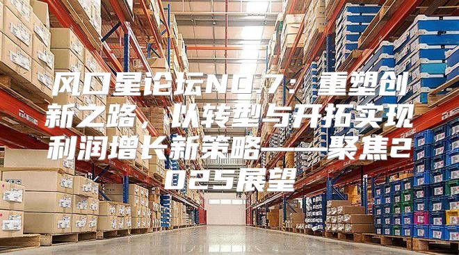 风口星论坛NO.7：重塑创新之路，以转型与开拓实现利润增长新策略——聚焦2025展望