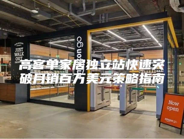 高客单家居独立站快速突破月销百万美元策略指南