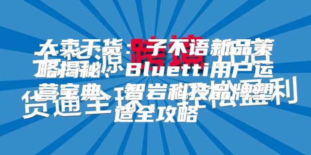 大卖干货：子不语新品策略揭秘、Bluetti用户运营宝典、智岩科技品牌塑造全攻略