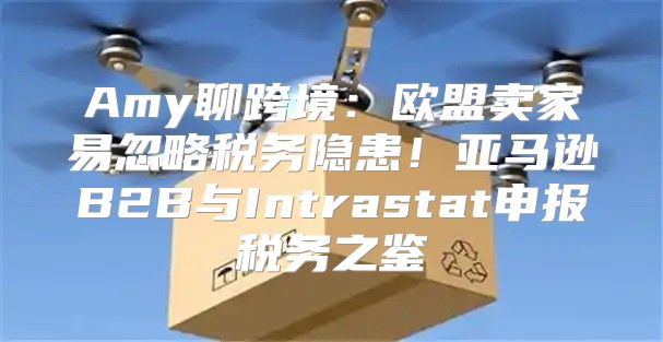 Amy聊跨境：欧盟卖家易忽略税务隐患！亚马逊B2B与Intrastat申报税务之鉴